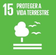 ODS 15