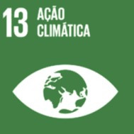 ODS 13